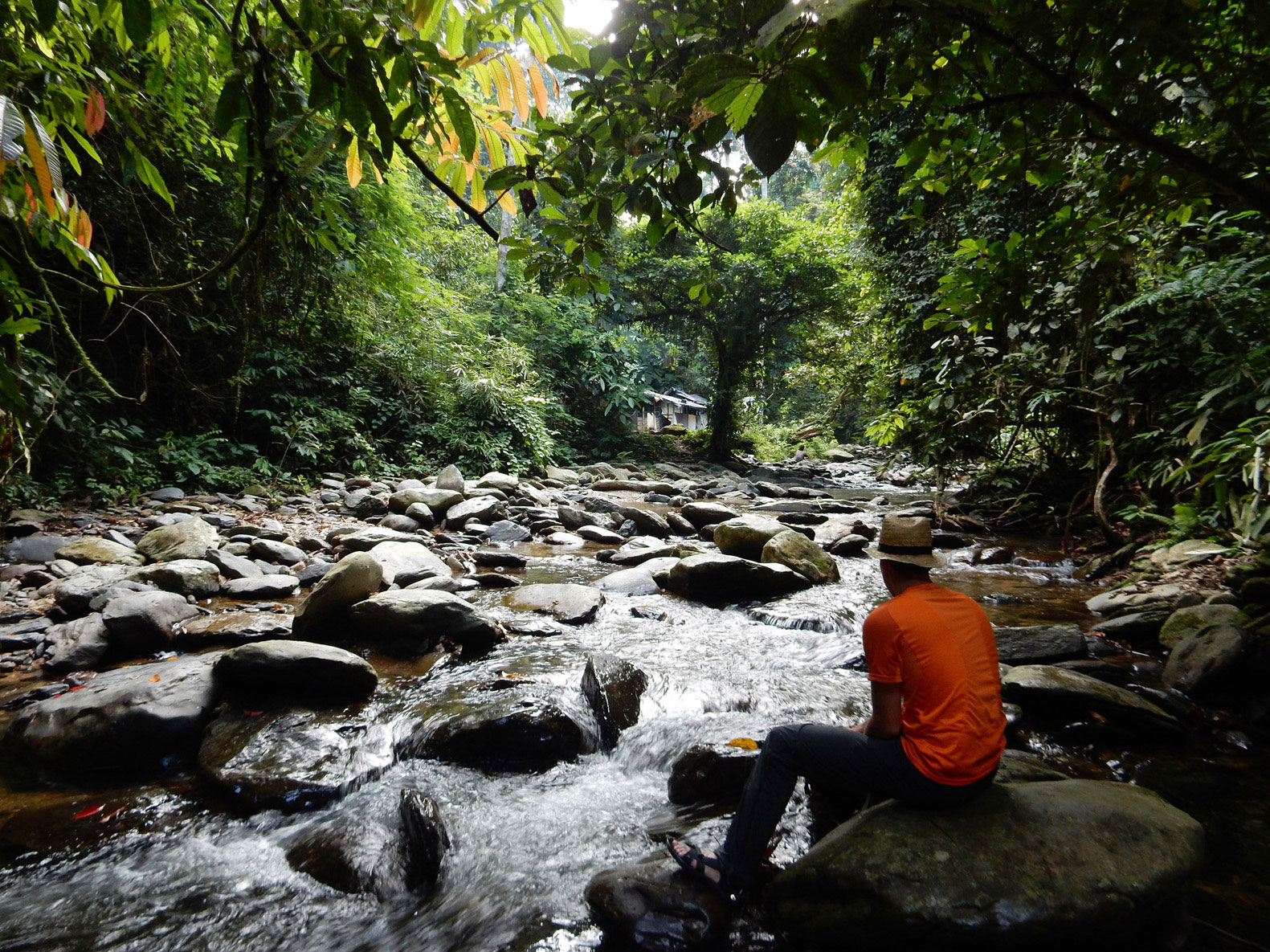 jungle trekking Bukit Lawang Sumatra