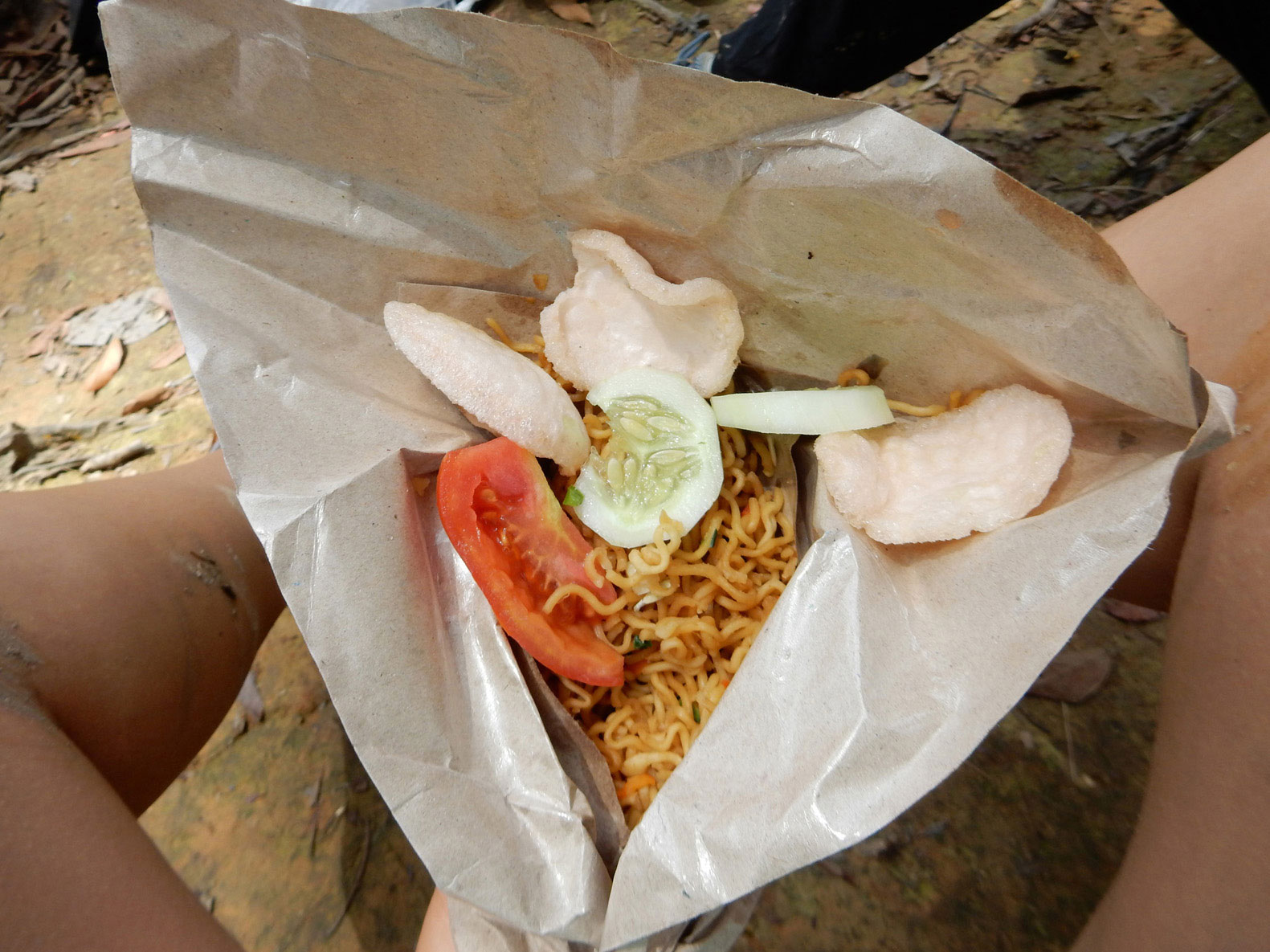 Jungle trekking Bukit Lawang Sumatra