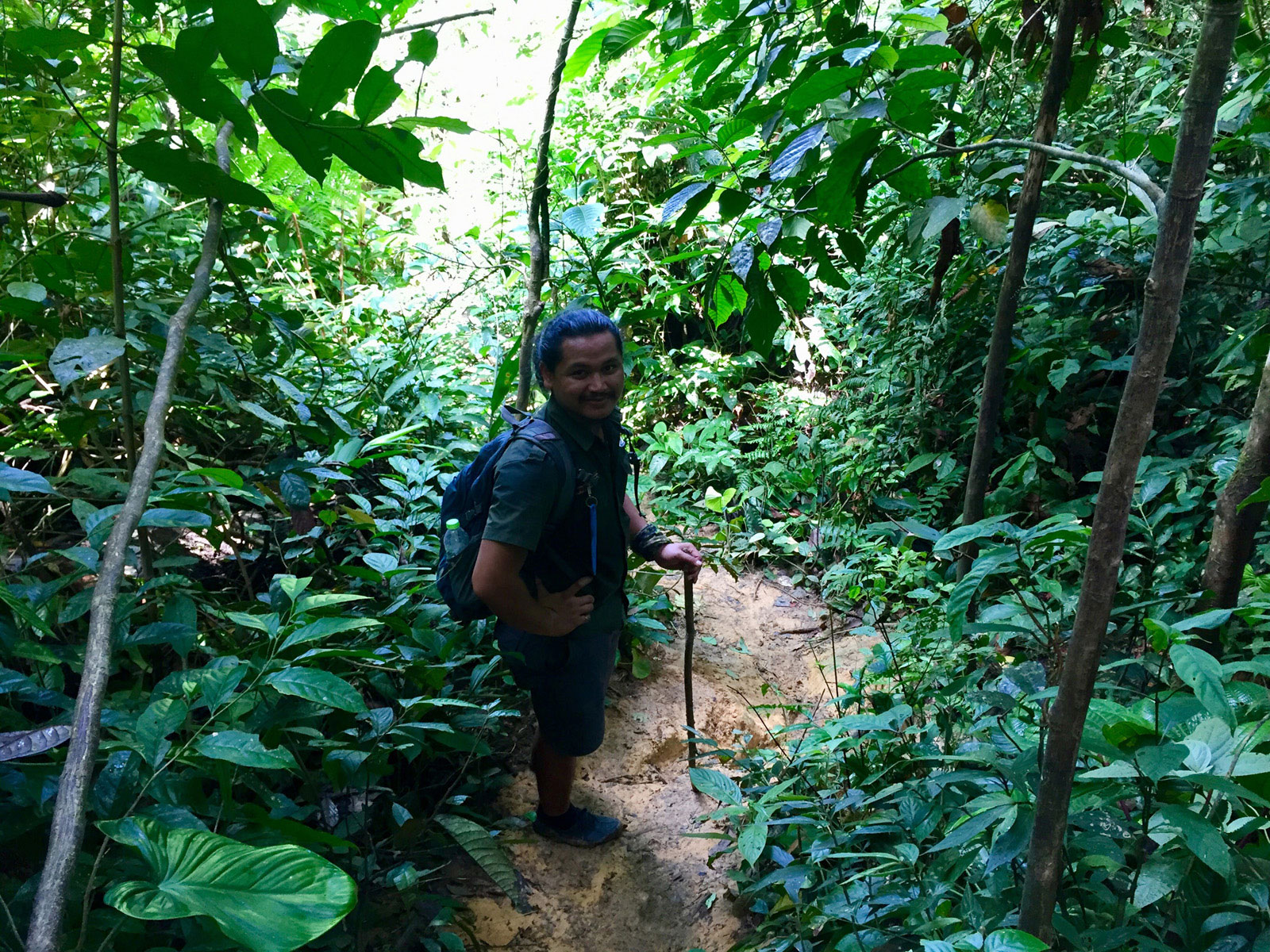 trekking Bukit Lawang