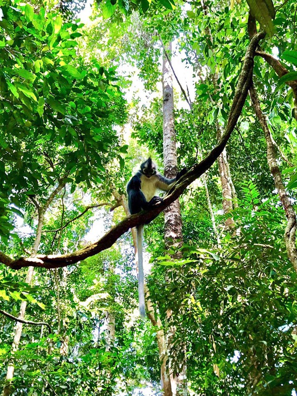 Discover_Sumatra_34