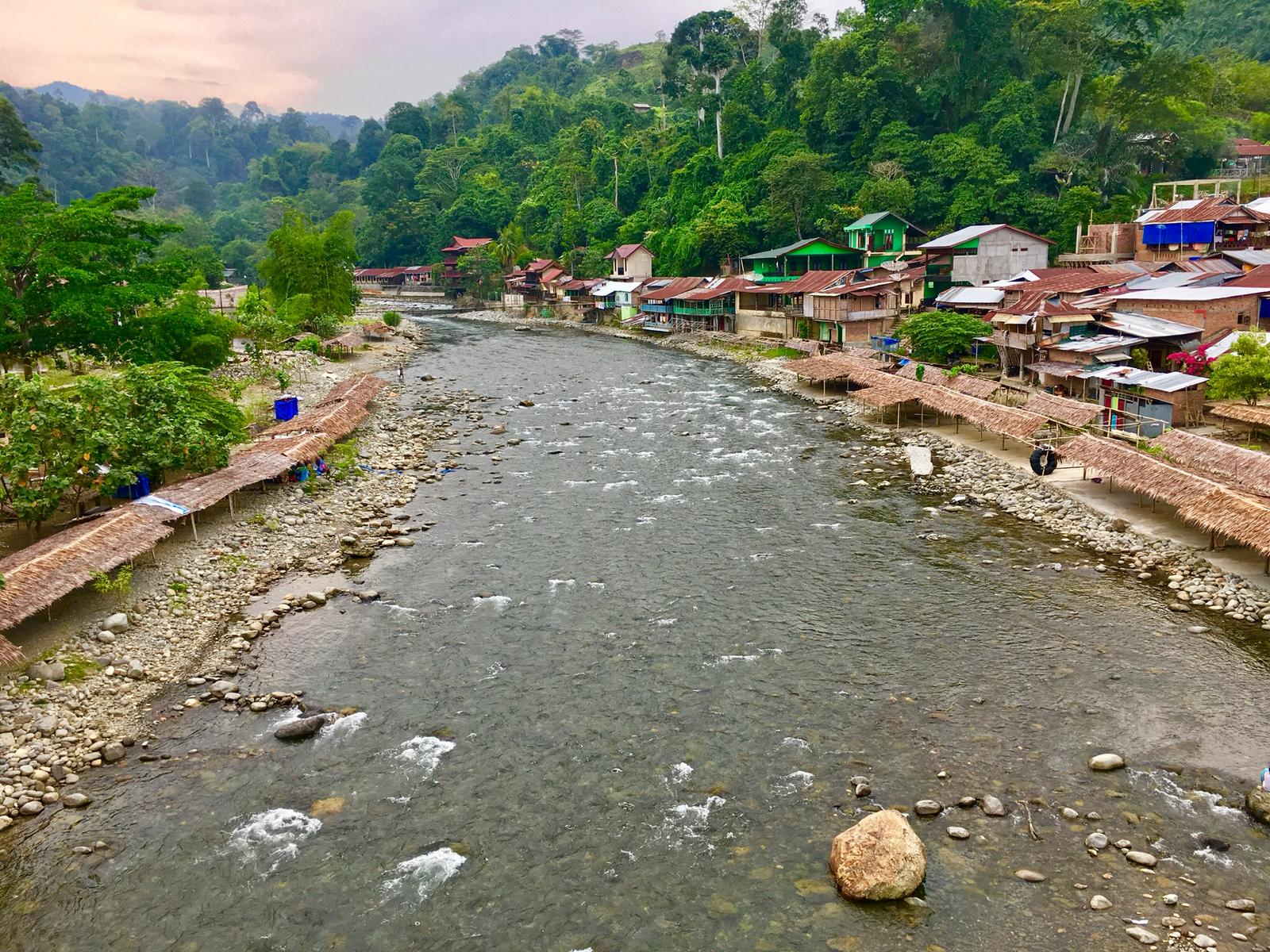 sumatra eco travel bukit lawang