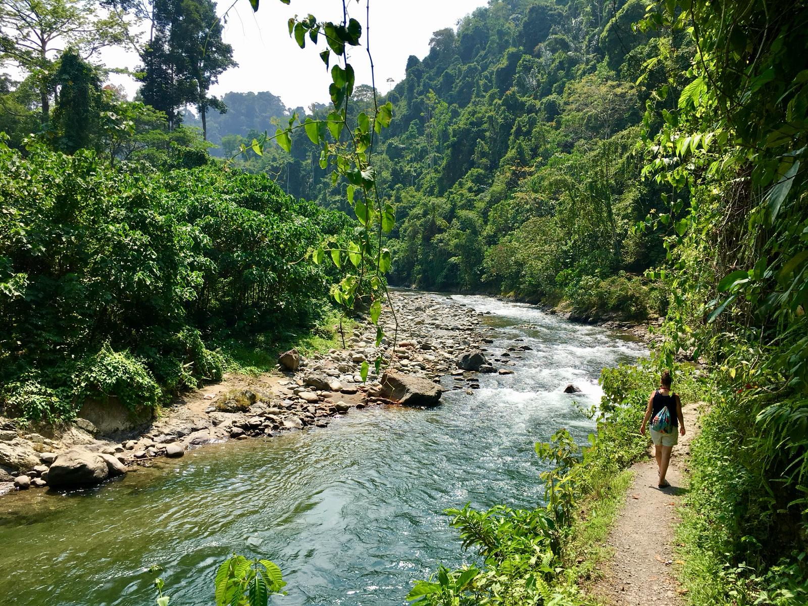 Bukit Lawang