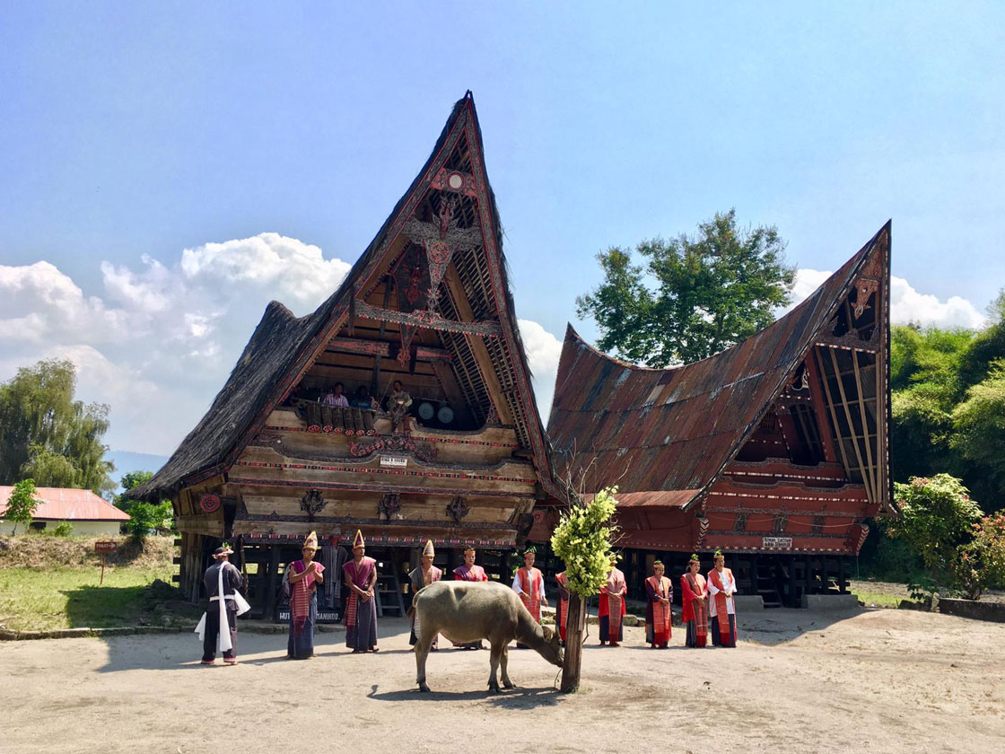  2  Wochen  Sumatra  Dschungel und Baden Discover Sumatra 