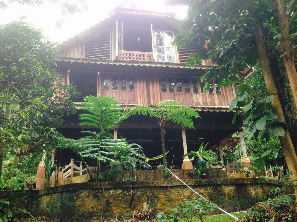 bukit_lawang_happyria_1
