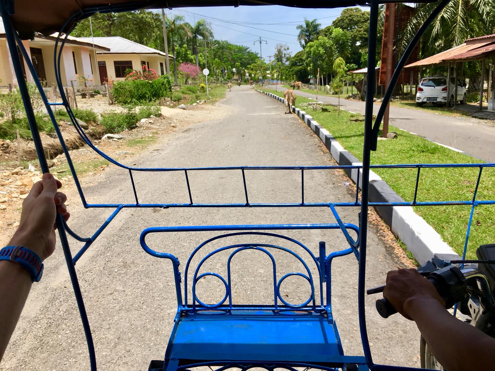 Bukit Lawang