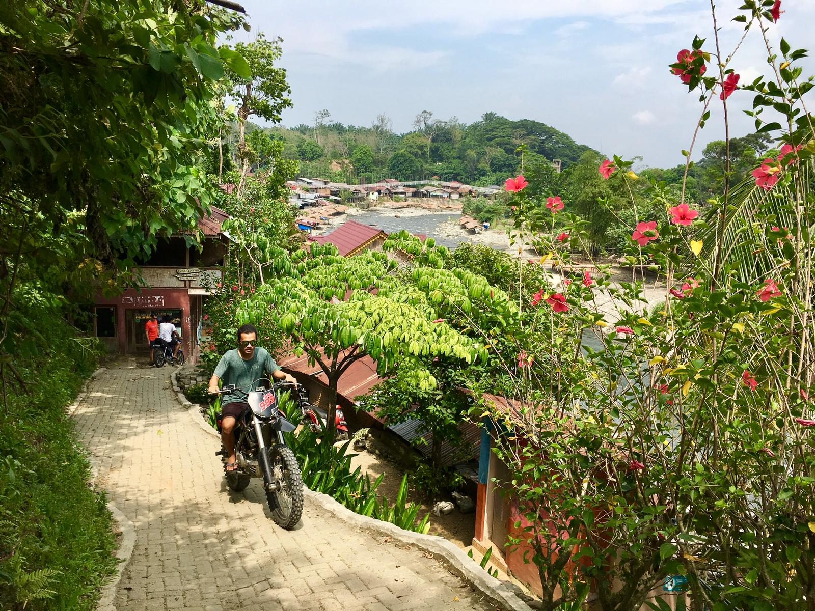 Bukit Lawang