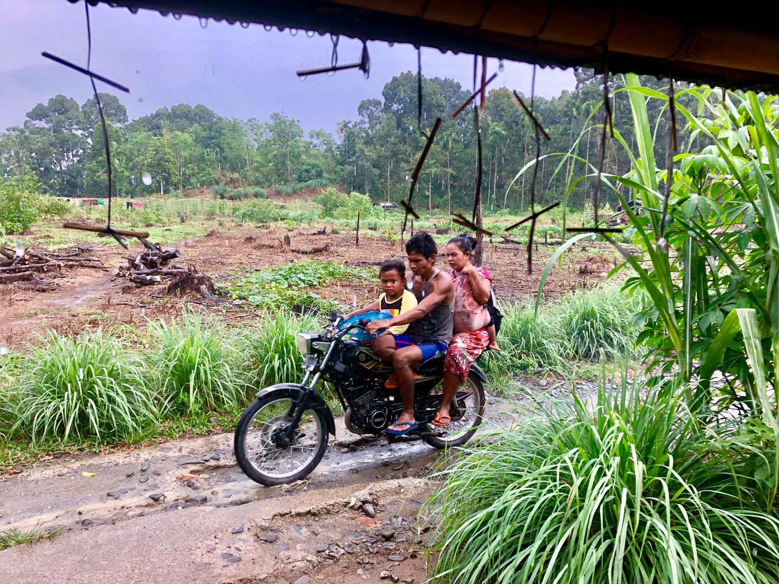 Beste Reisezeit für Sumatra