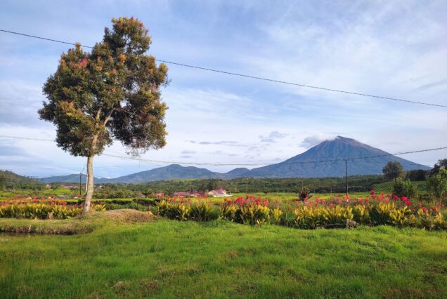 Wanderreise in Sumatra - Dschungel und Vulkan